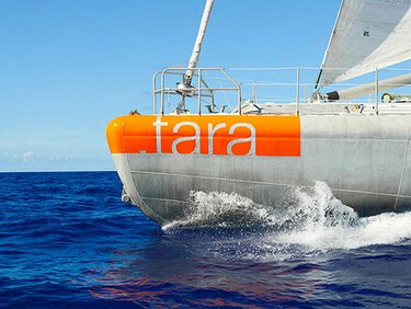 Bateau Biotherm x fondation Tara ocean