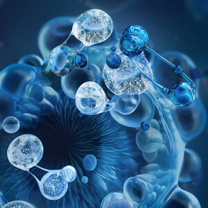 Bioscienze e ingredienti