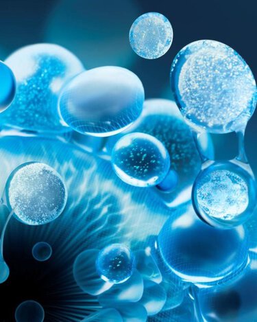 Molecule Biotech Plankton