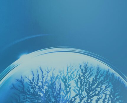 Biotech Plankton