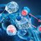 Molecules de fraction de peptides de collagene