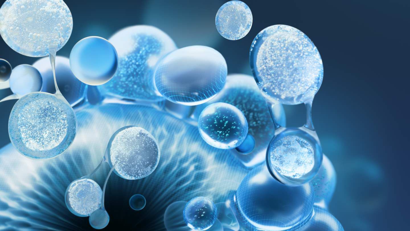 vitamine B3 representant la niacinamide a l'interieur de l'ingredient actif reparateur du lait corporel